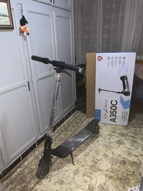 Ace Ace 350C 2025