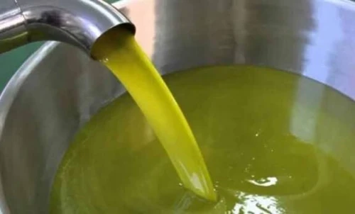 زيت زيتون جديد موسم 2026