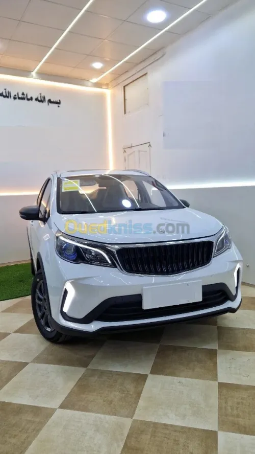 Geely livan x3 Pro 2025 version international