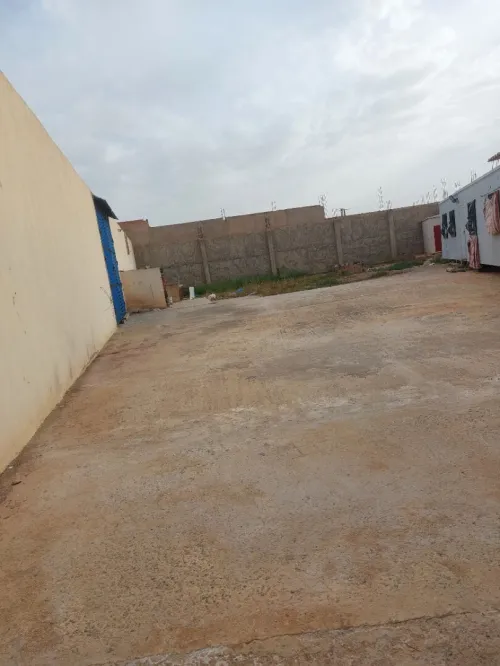 Location Hangar - Usine Mascara Mohammadia