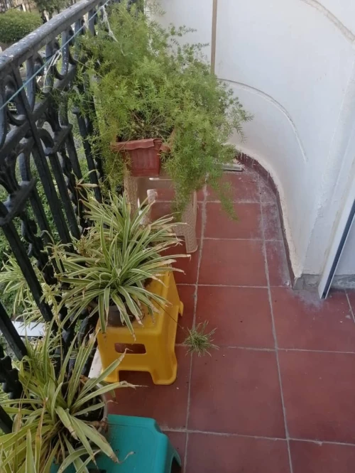 Vente Appartement F3 Alger Alger centre