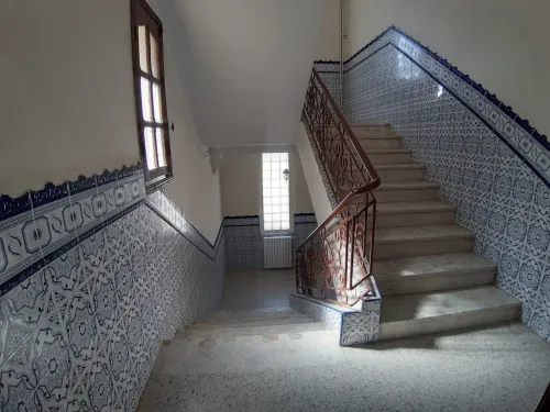 Location F4 Alger Douera