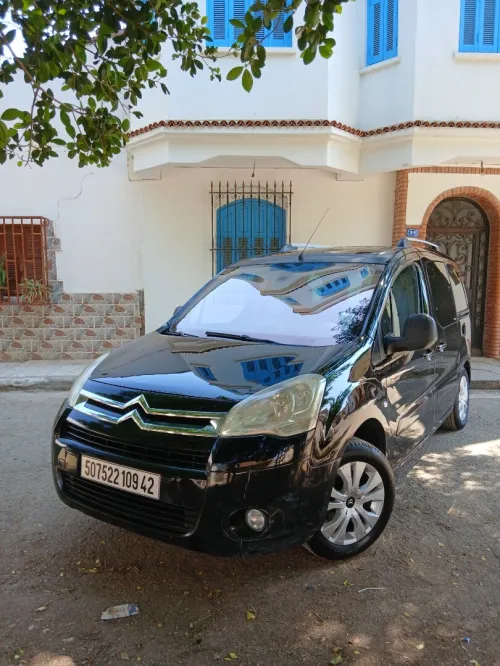 Citroen Berlingo 2009 