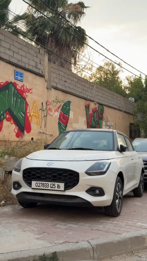 Fiat Punto 2009 Classic