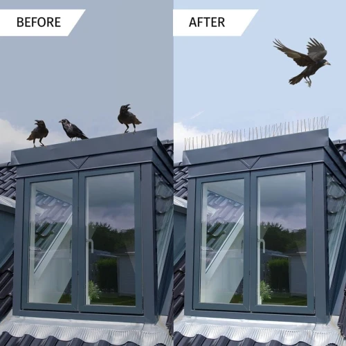Répulsif Oiseaux، Pour Oiseaux, Pics Anti-Oiseaux En Acier Inoxydable 