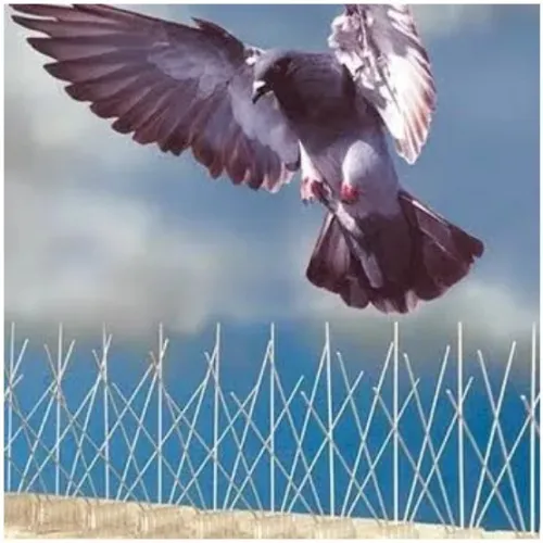 Répulsif Oiseaux، Pour Oiseaux, Pics Anti-Oiseaux En Acier Inoxydable 