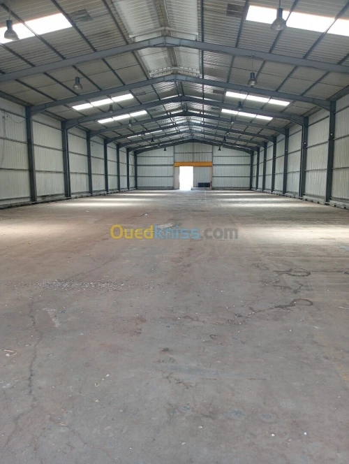 Vente Hangar Blida Beni mered