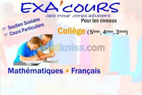 Cours De Mathématique programme national + programme Français 