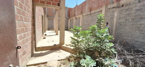 Vente Terrain Tébessa Cheria