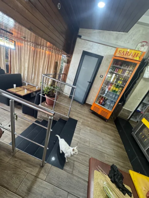 Location Local Alger Gue de constantine