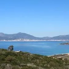 Cherche achat Terrain Boumerdès Zemmouri