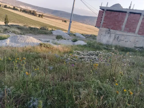 Vente Terrain Constantine El haria