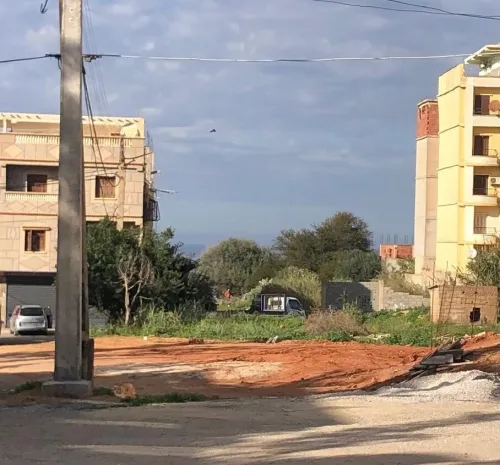 Vente Terrain Tipaza Bou ismail