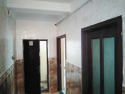 Peinture professionnelle 
