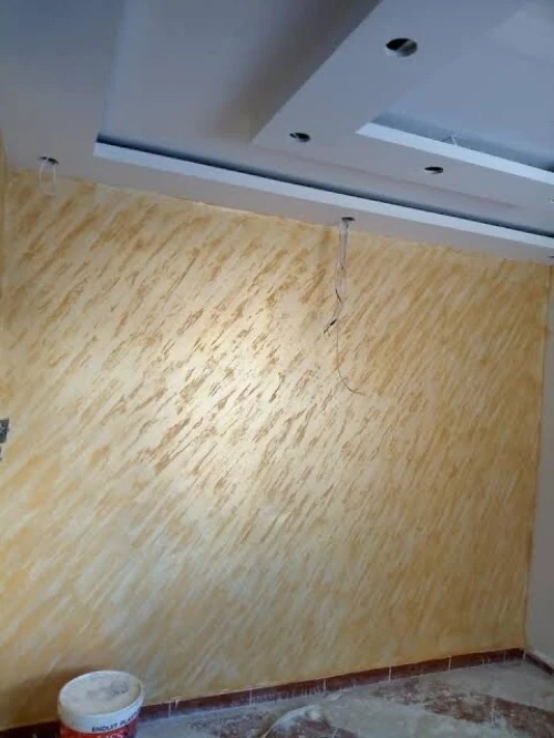 صباغ pantre peintre peinture pro 