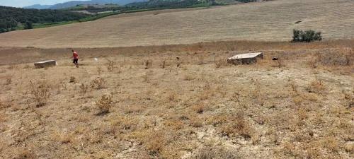 Vente Terrain Boumerdès Zemmouri