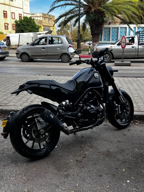 Benneli Leoncino 502 2020