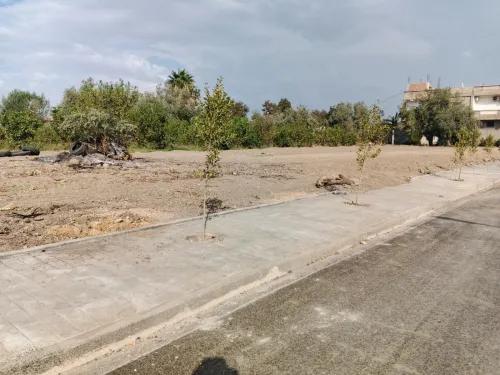 Location Terrain Blida Bouinan