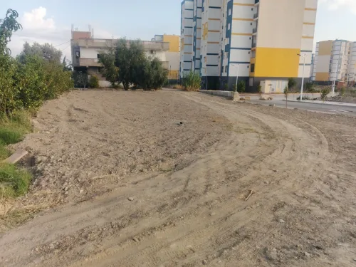 Location Terrain Blida Bouinan