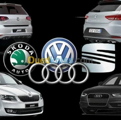 Activation option cashé audi vw bmw seat skoda