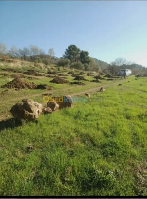 Vente Terrain Agricole Sétif Ain legraj
