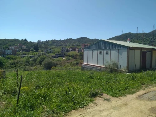 Vente Terrain Skikda Collo