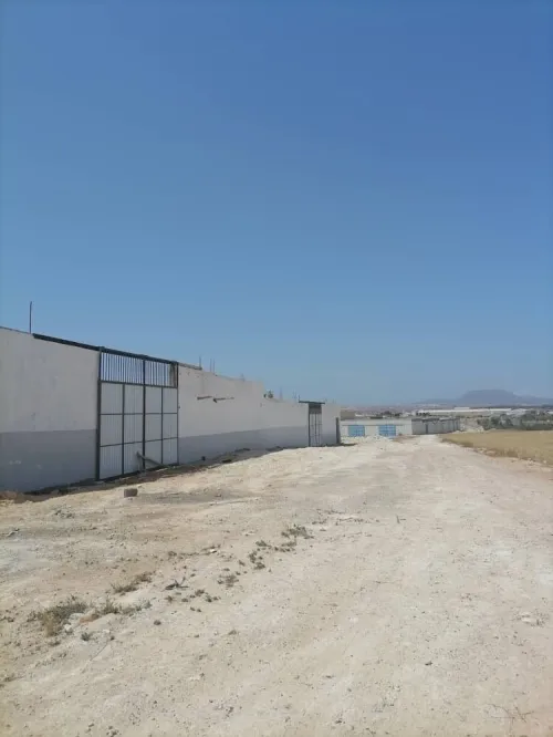 Vente Terrain Oran Sidi chami