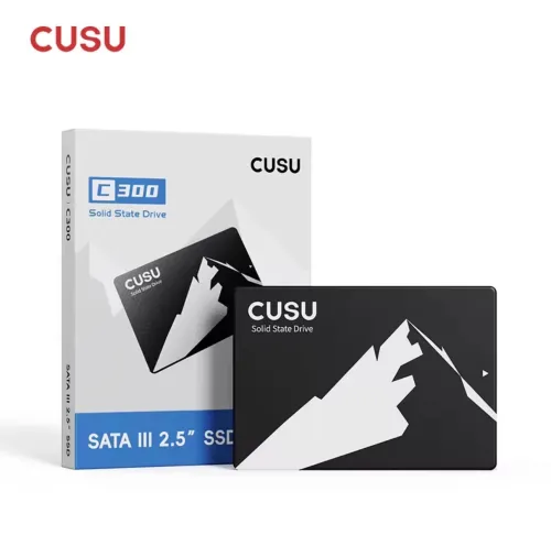 Disque Dur SSD interne