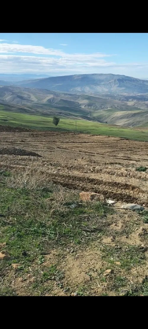 Vente Terrain Médéa Draa essamar