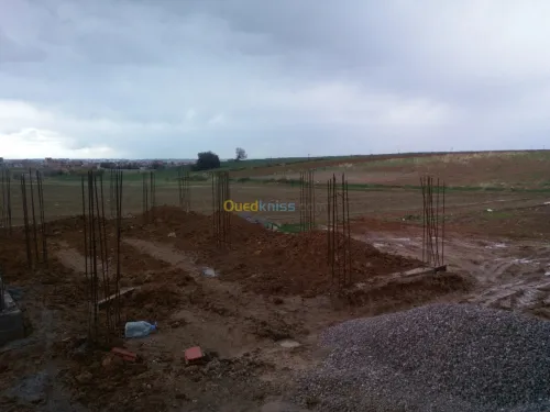 Vente Terrain Boumerdès Ouled moussa