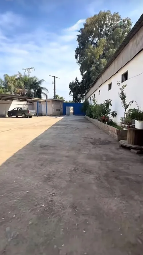 Vente Hangar - Usine Alger Gue de constantine