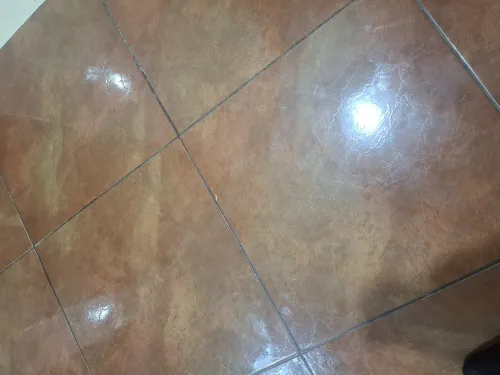Location Appartement F3 Oran Arzew