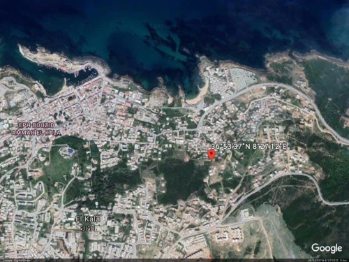 Vente Terrain El Tarf El kala