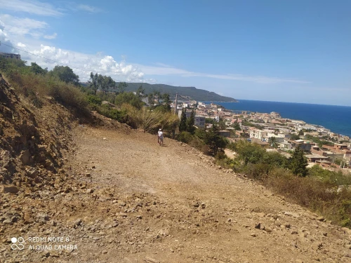 Vente Terrain El Tarf El kala