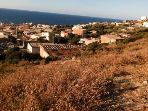 Vente Terrain El Tarf El kala