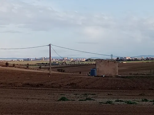 Vente Terrain Agricole Sidi Bel Abbès Ain thrid