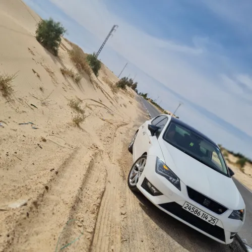 Seat Leon 2014 Fr