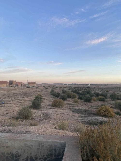 Vente Terrain Djelfa Djelfa