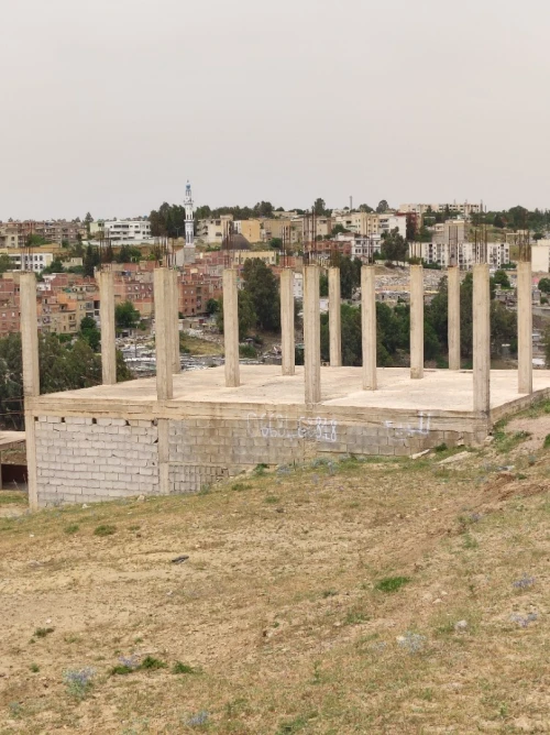 Vente Terrain Constantine Constantine