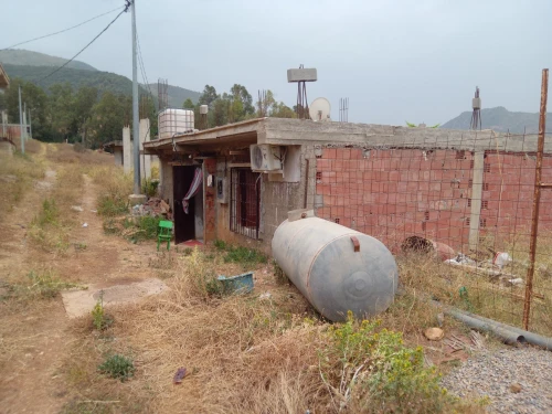Vente Terrain Blida Hammam melouane