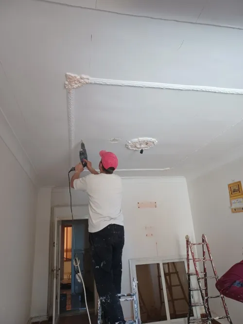 Placo platre, faux plafond +peinture professional