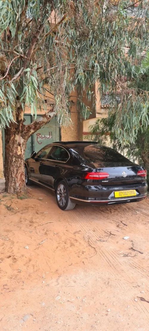 Volkswagen Passat 2019 Carat