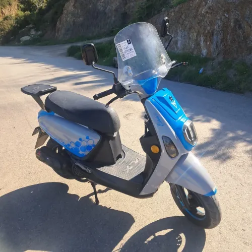 Vms Cuxi estate x 2022