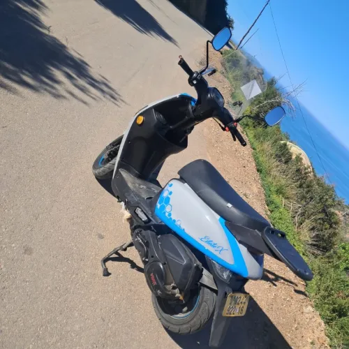 Vms Cuxi estate x 2022