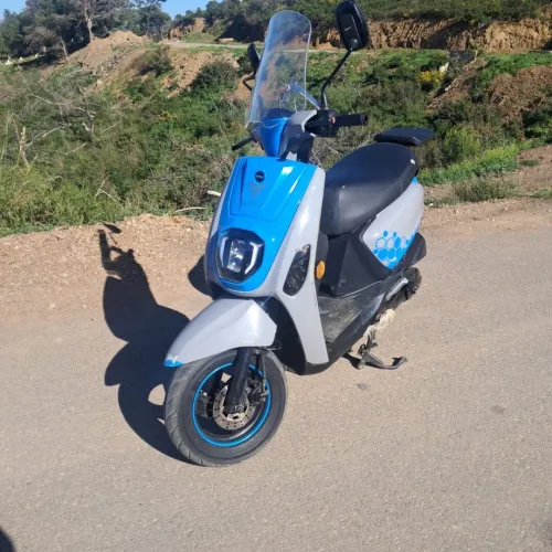 Vms Cuxi estate x 2022
