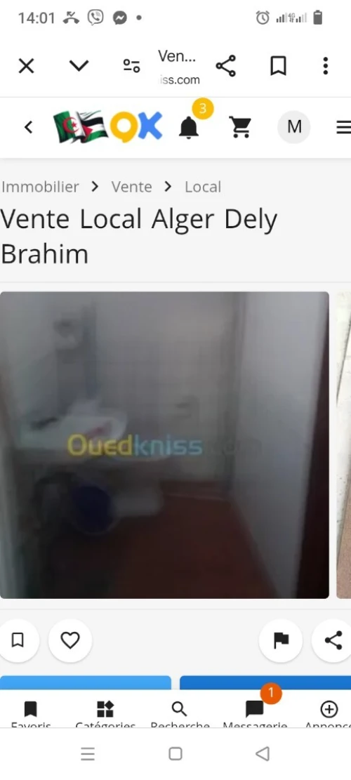Vente Local Alger Dely brahim