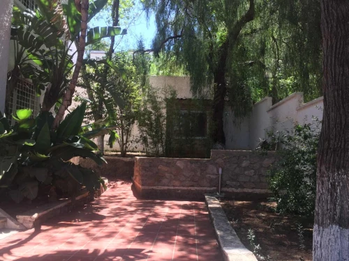 Location Villa Alger Hydra
