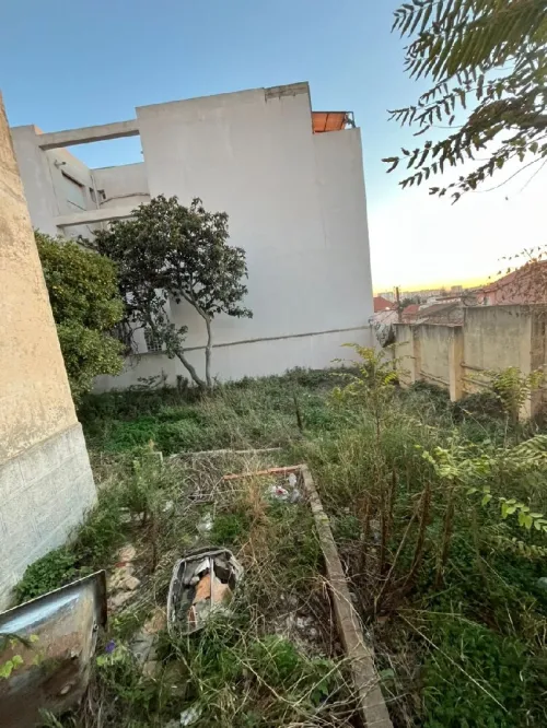 Vente Terrain Alger Birkhadem