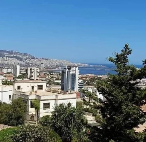 Vente Appartement Alger Hussein dey