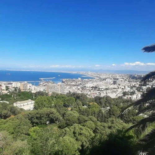 Location Appartement Alger Hussein dey